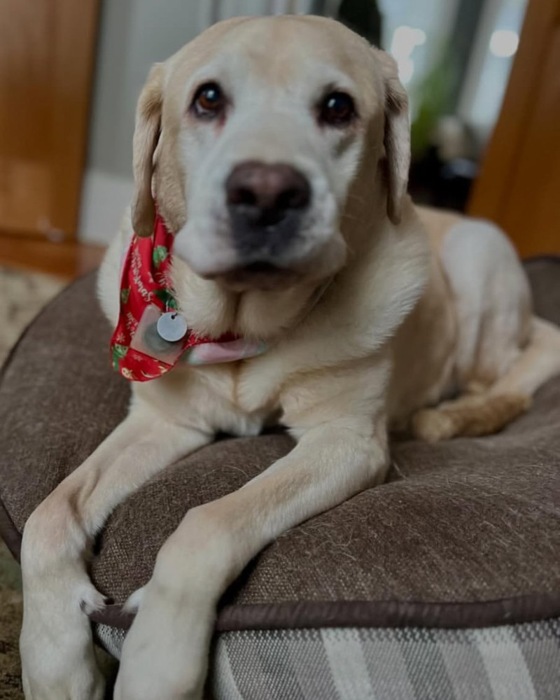 Ranger
